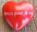 80361 Heart Amis pour la vie